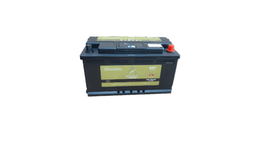 Batteria per raccoglitrice di olive Angelis 100Ah
