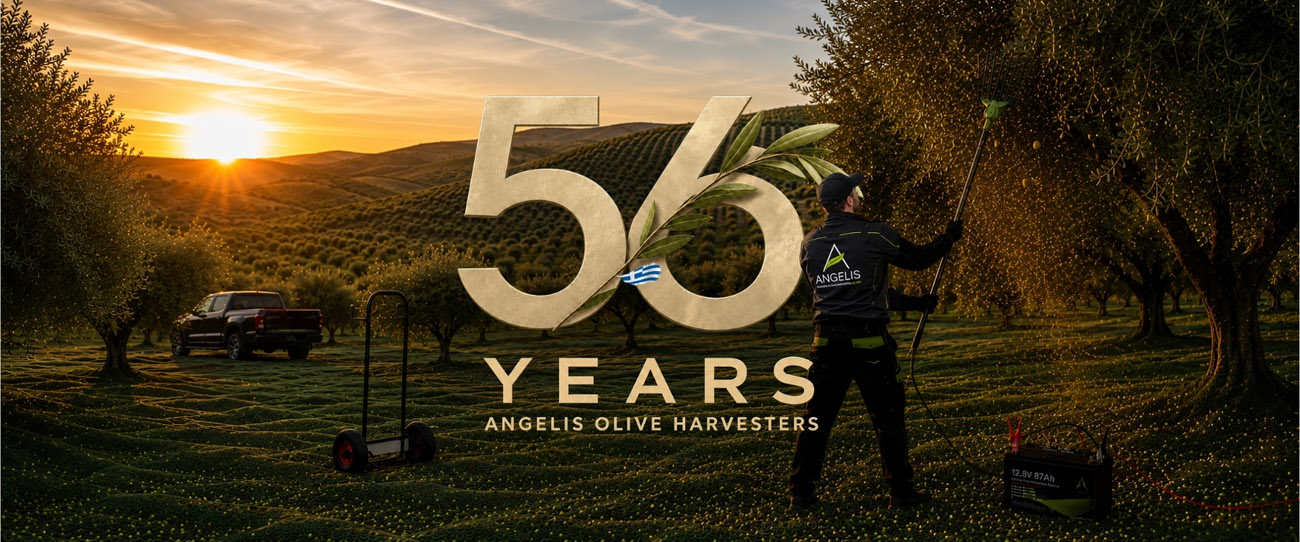 english banners desktop angelis changed - 1