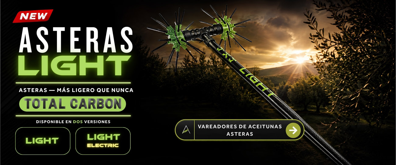 spanish banners desktop angelis changed - 3