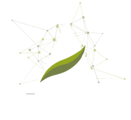 angelis-dealer-logo-white